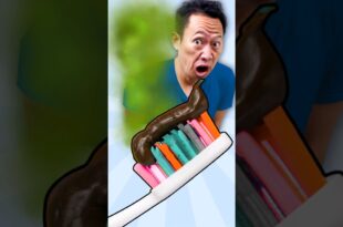 Why you should NEVER keep your toothbrush in the bathroom!