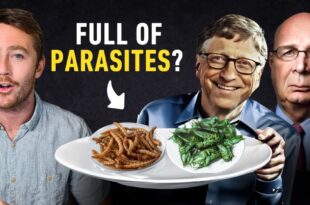 You won't believe what they are telling us to eat now