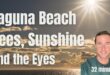 Laguna beach, Sunshine, Bees, and eyesight tips