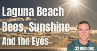 Laguna beach, Sunshine, Bees, and eyesight tips