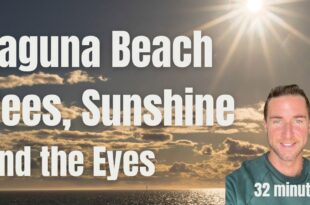 Laguna beach, Sunshine, Bees, and eyesight tips