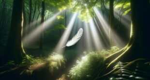 Signs Your Spirit Guides Are Trying to Communicate with You