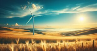 Urban vs. Rural: Which is the Best Setting for Sustainable Living?