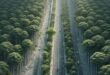 Why Suburban Sprawl is a Hidden Threat to Sustainability