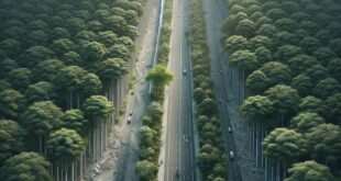 Why Suburban Sprawl is a Hidden Threat to Sustainability