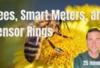 Bees, Smart meters, Dragons blood, Vitamins and Tensor Rings