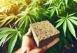 The Role of Hempcrete in Sustainable Home Construction