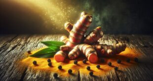Turmeric: The Golden Healer for Inflammation and Longevity